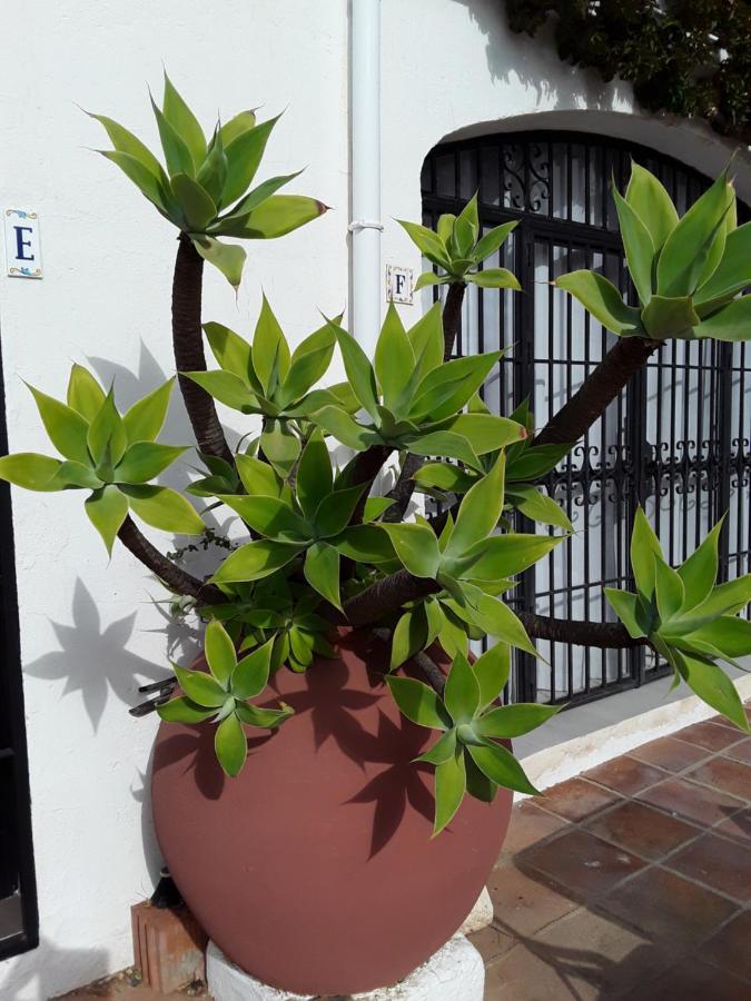 Dona Lola , Luminoso Apartamento Calahonda, Mijas Ситио-де-Калаонда Экстерьер фото