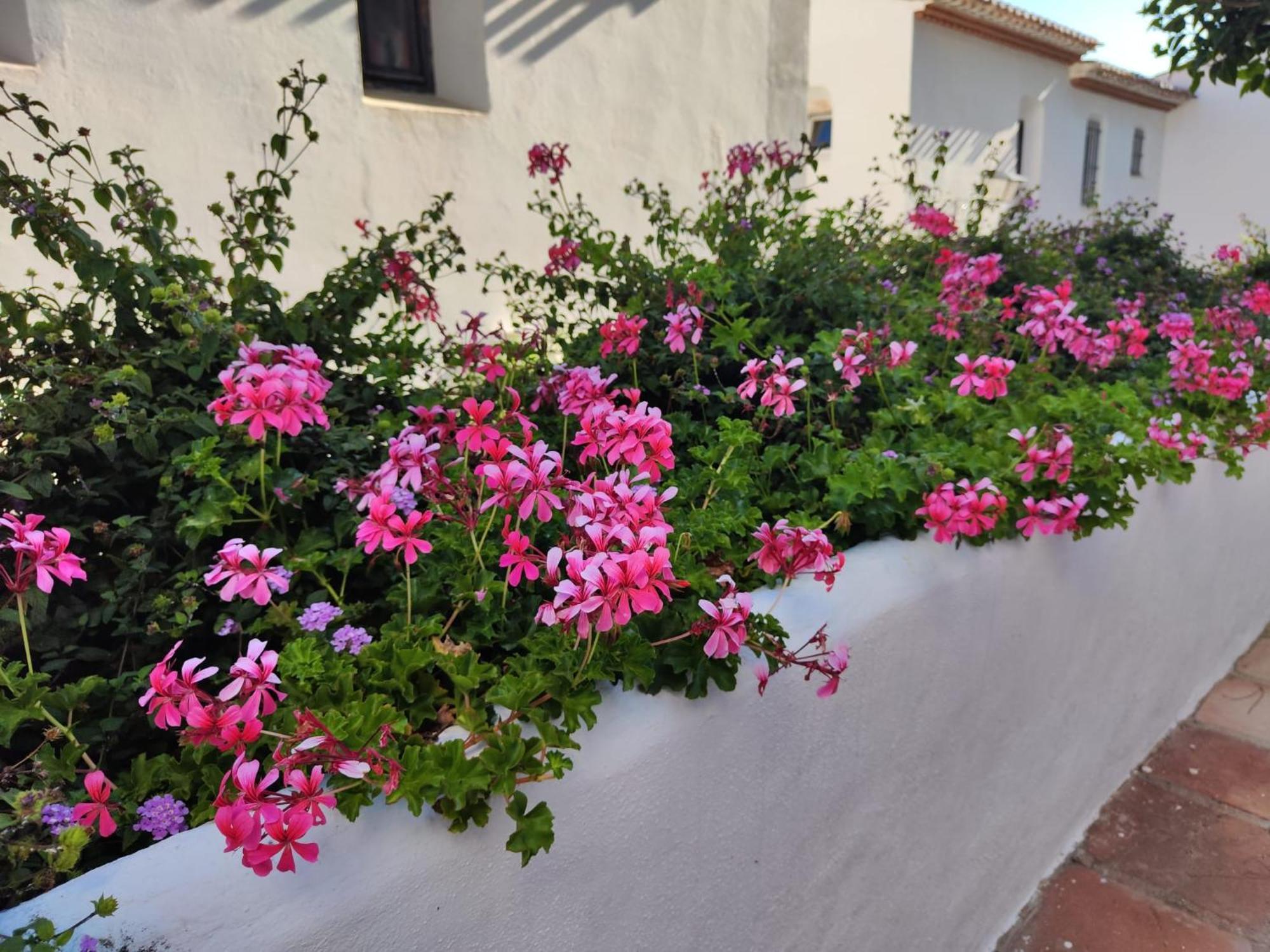 Dona Lola , Luminoso Apartamento Calahonda, Mijas Ситио-де-Калаонда Экстерьер фото